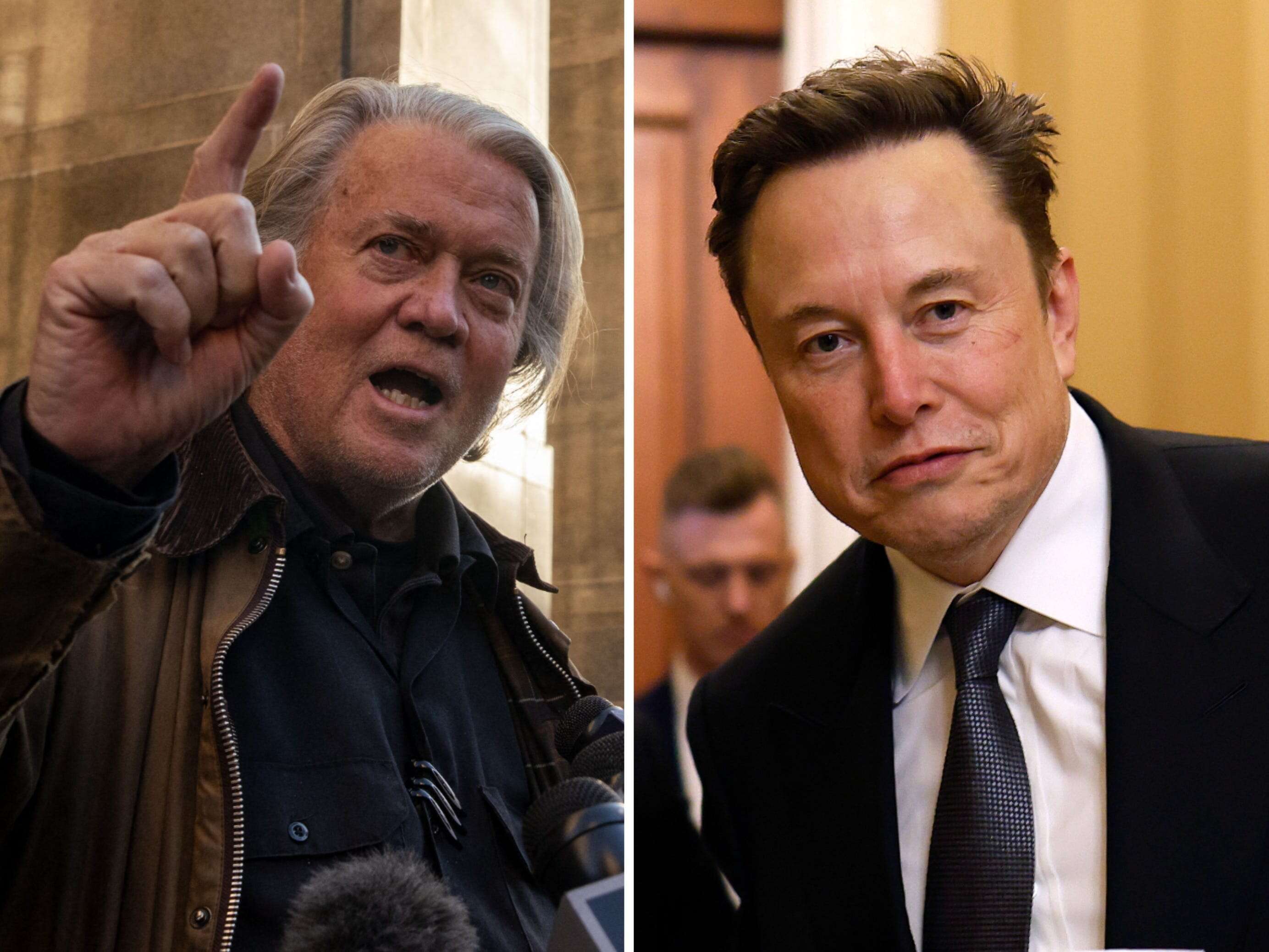 Steve Bannon advises Elon Musk to slow down and 'study modern political history'