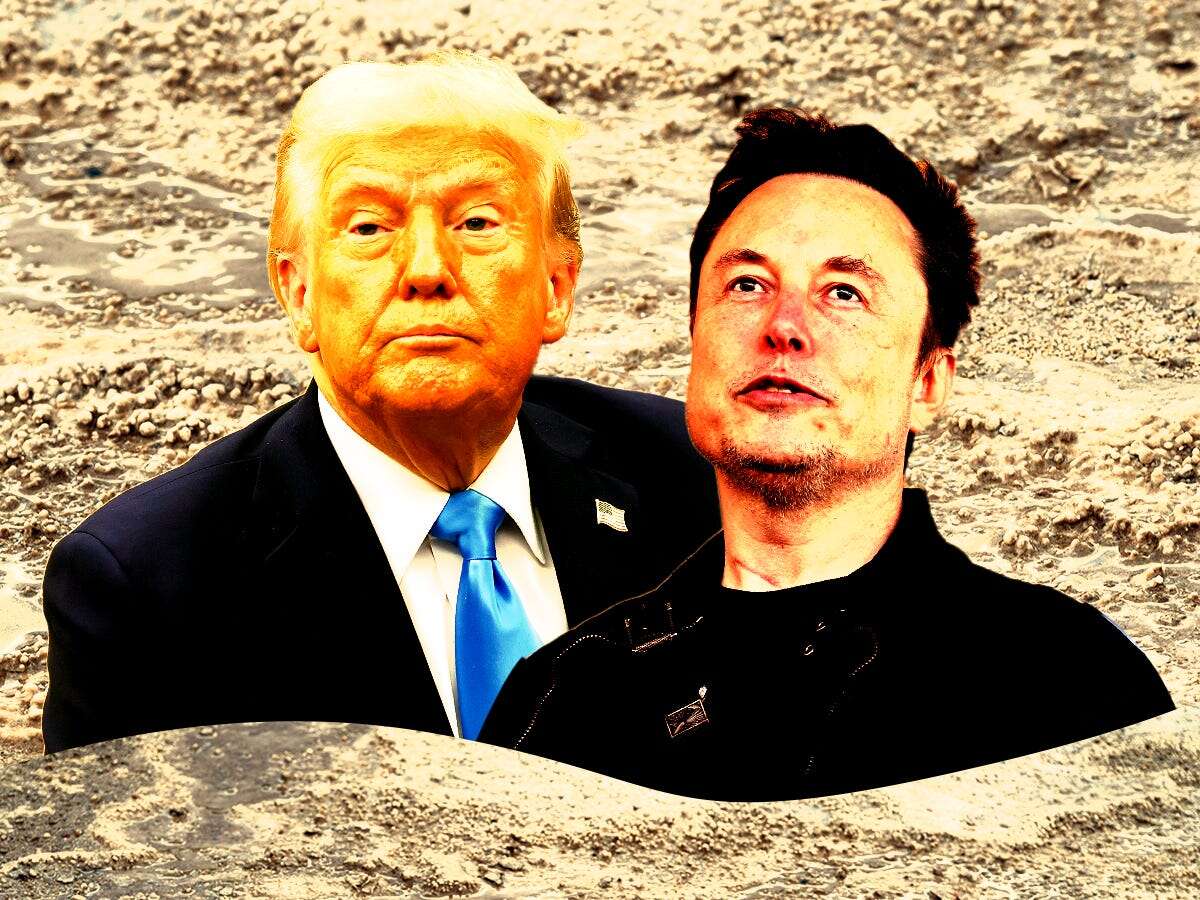 Trump and Musk said these bold moves were imminent. Now they're stuck in the mud.