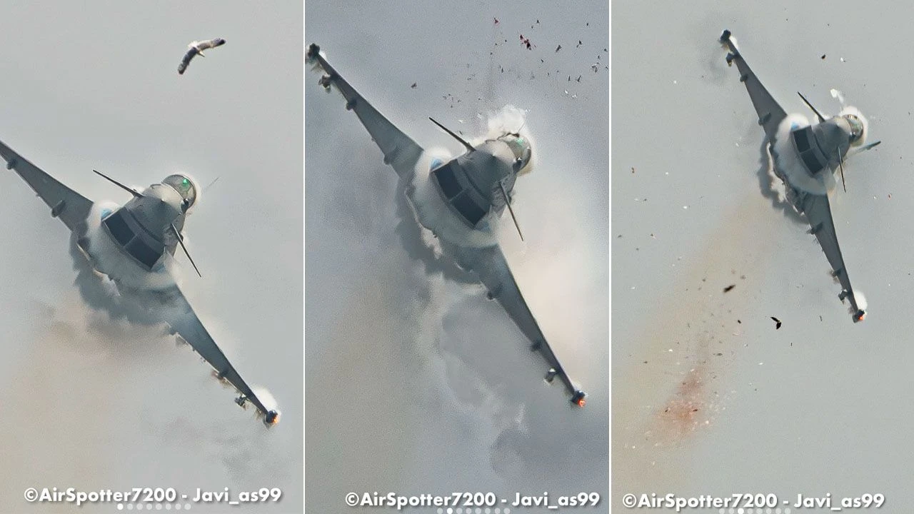 Eurofighter zderzył się z mewą. Efektowne zdjęcia ze zdarzenia