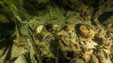 Swedish Officials Forbid Removal Of Champagne Bottles From Shipwreck