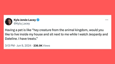 20 Of The Funniest Tweets About Cats And Dogs This Week