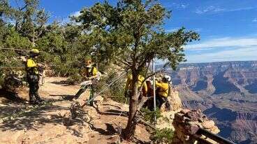 2 Deaths In 2 Days Reported At Grand Canyon