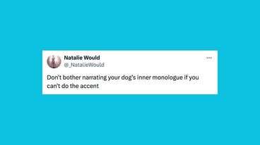 22 Of The Funniest Tweets About Cats And Dogs This Week