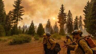 California's 'Monster' Park Fire Is Now One Of The State's Largest On Record