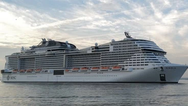 Cruise Ship Sails Into NYC Port With 44-Foot Dead Whale Across Its Bow