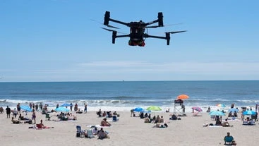 Angry Birds Are Battling Drones Patrolling New York City's Beaches