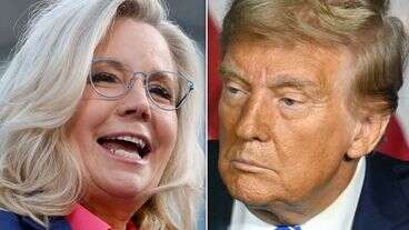 Liz Cheney Splotches Trump With Golden Line About Her Past