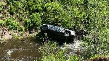 Dog Treks 4 Miles, Gets Help For Owner After Truck Plummets Off Road