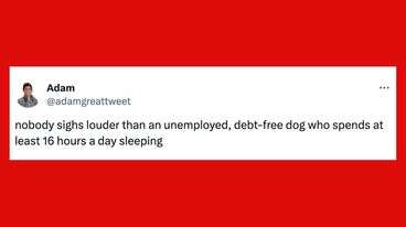 22 Of The Funniest Tweets About Cat And Dogs This Week