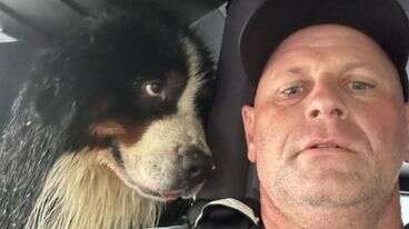 Dog's Eyes 'Say It All' After Firefighter Saves Him From Hurricane Flooding