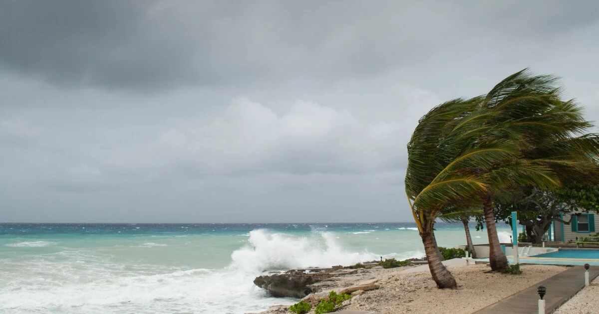 Telmex y Telcel alistan plan de contingencia por huracán Beryl