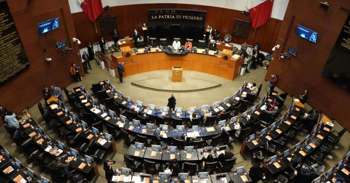 Avanza en Senado la “Ley Silla”, para evitar largas jornadas laborales de pie