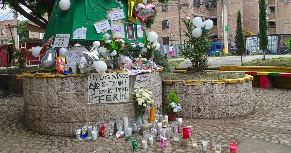 Abogada Fabiola Villa dice quedar fuera del caso Fernandito en Edomex