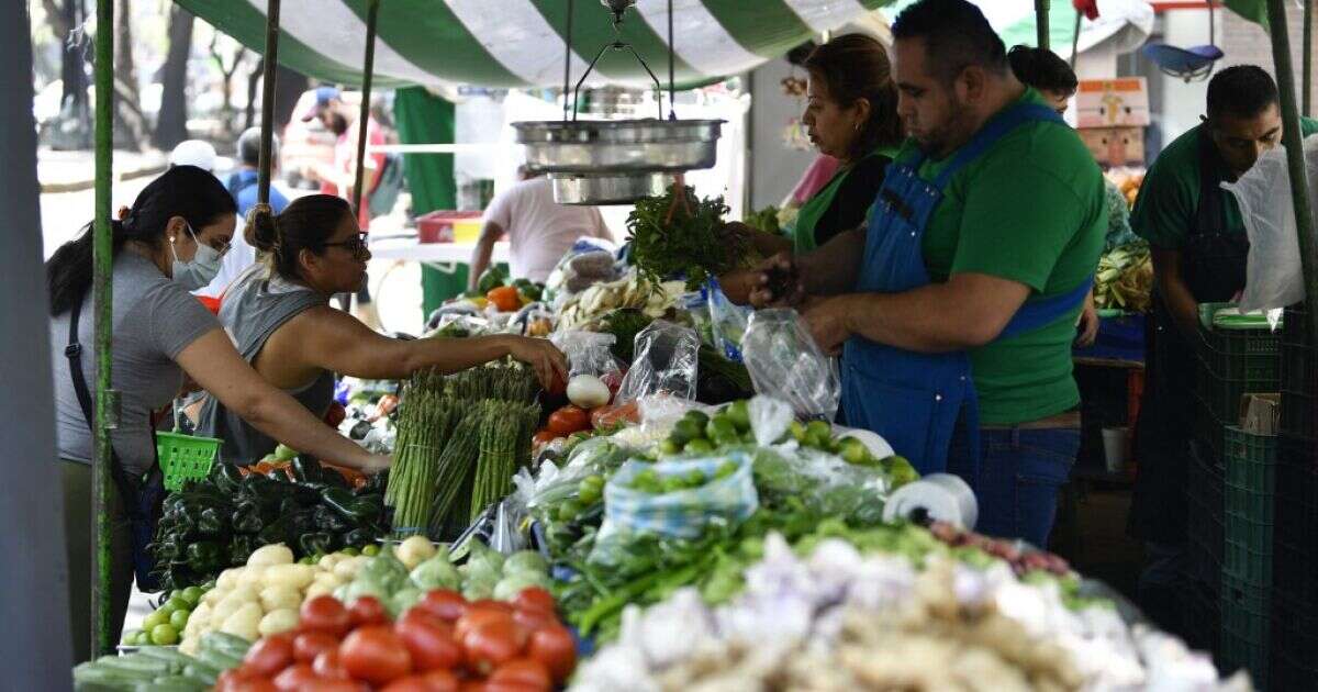 ¿Eres tianguista en CDMX? Puedes solicitar un crédito con Fondeso