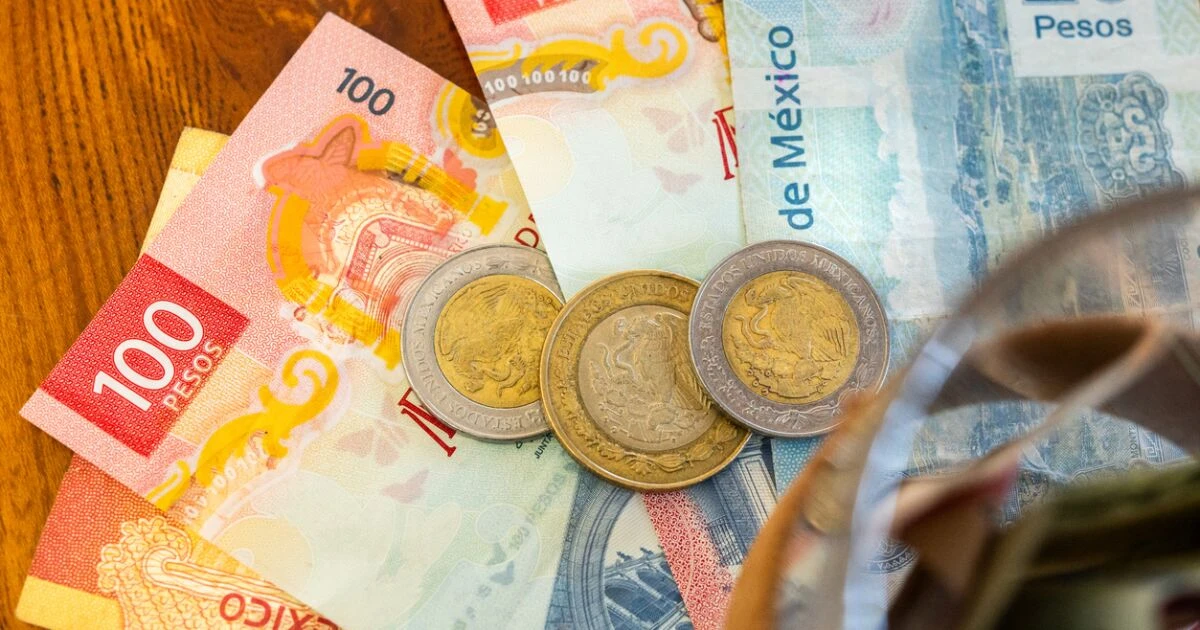¿Quiénes cobran en la última semana de pagos de la Pensión del Bienestar?