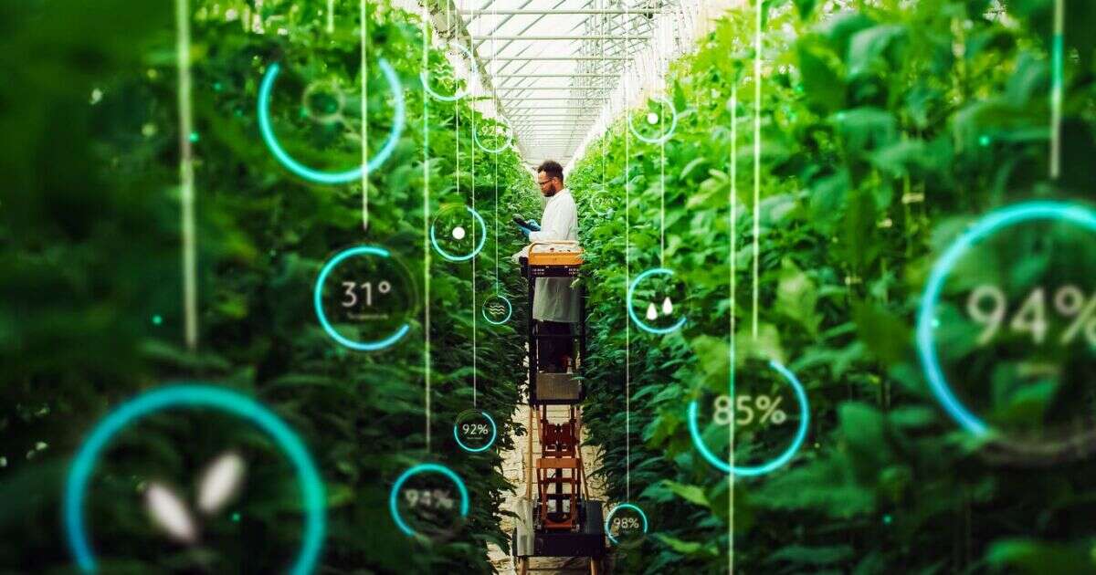 Cómo la Inteligencia Artificial está cultivando nuestros alimentos