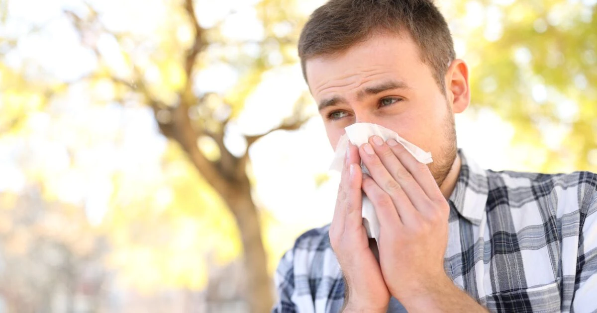 ¿No dejas de estornudar? 5 datos para saber si se trata de una alergia