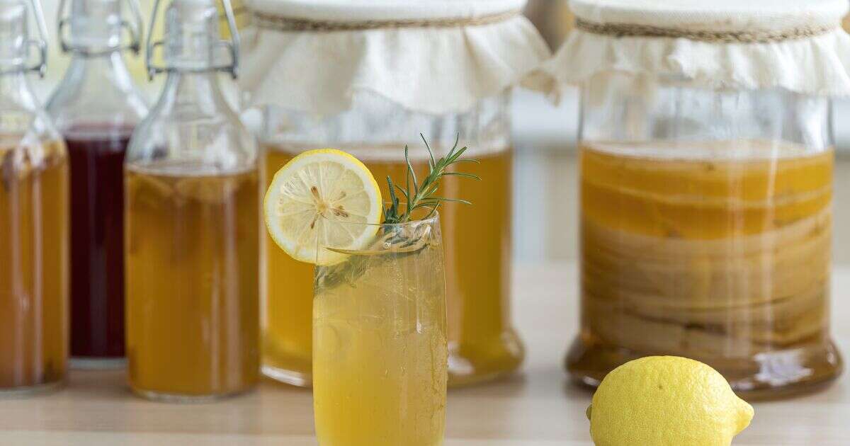 Té de kombucha, ¿bueno o malo para la salud?