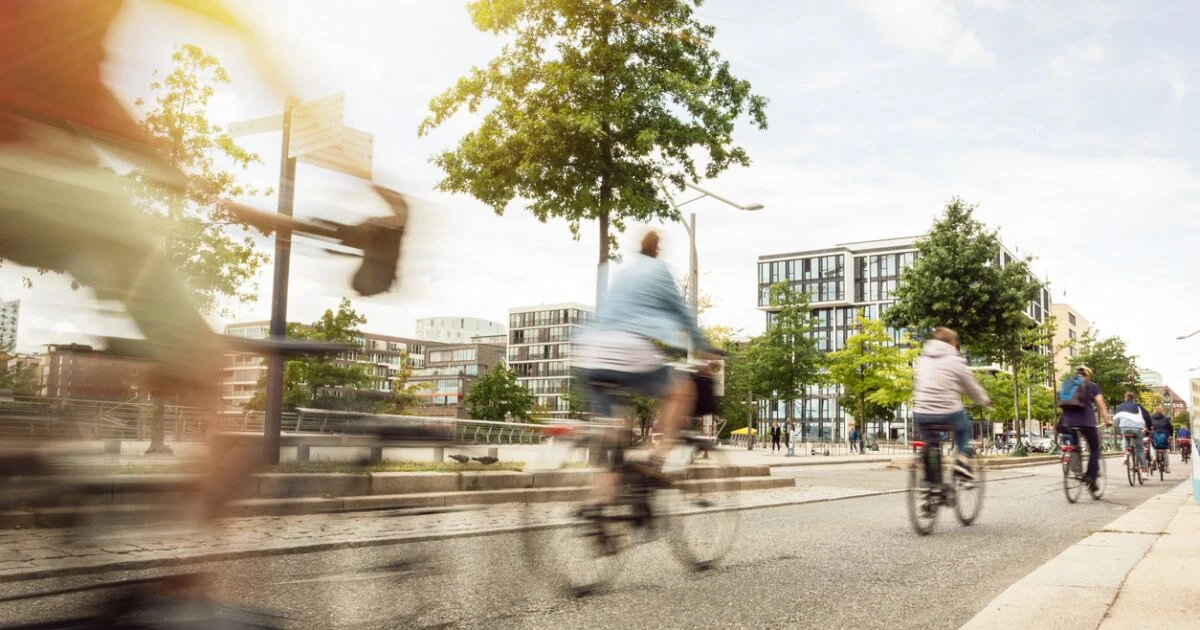 Este festival en CDMX reúne cine, arte ¡y bicicletas!