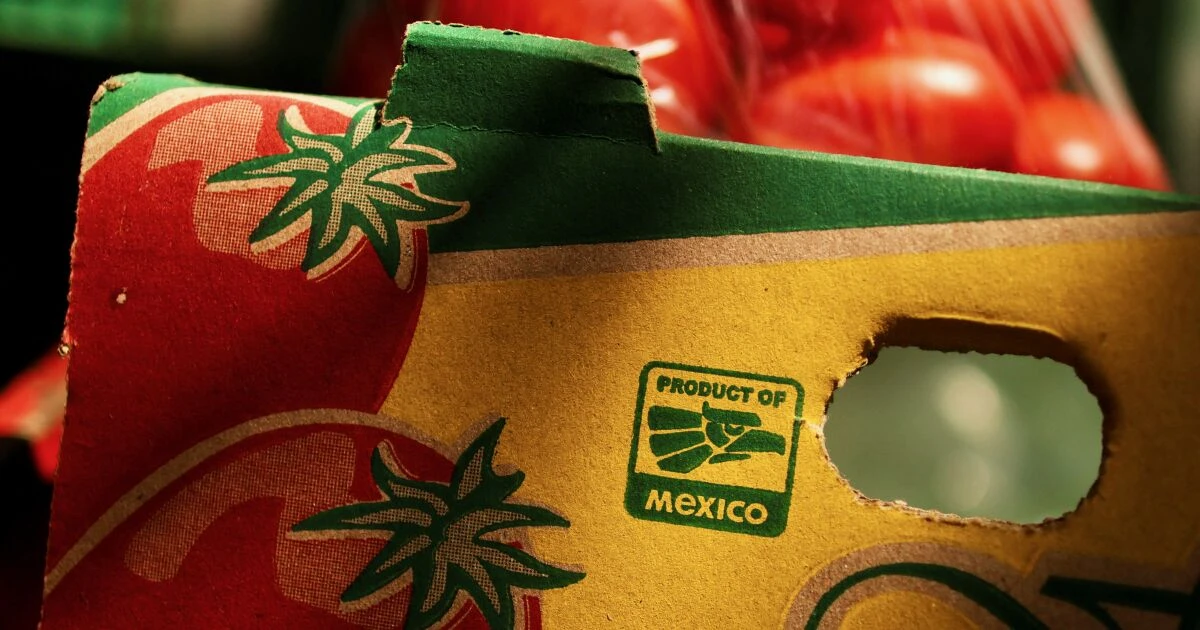 Desafíos que enfrenta México a seis meses del nuevo gobierno de Trump