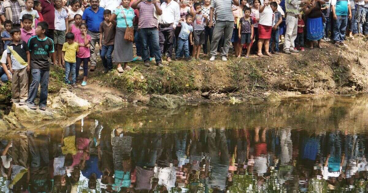 Sembrando Vida no logra sacar de la pobreza extrema a campesinos más vulnerables