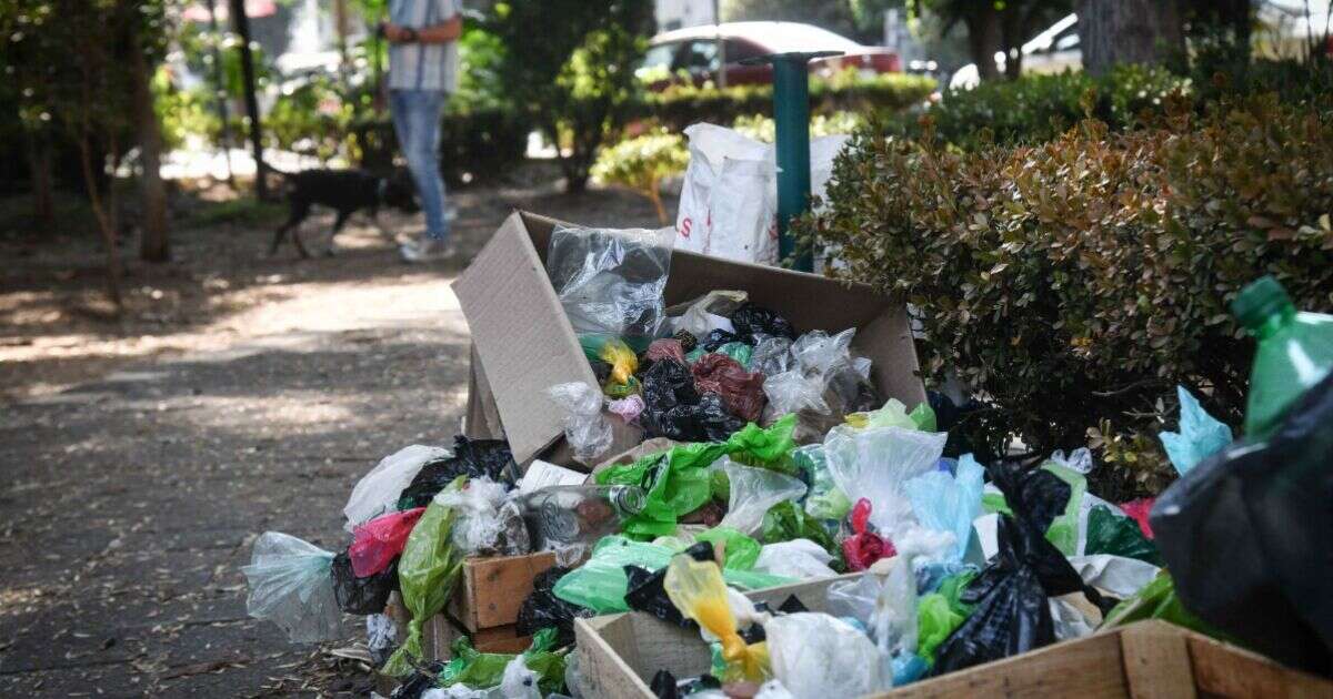 ¿Cuál es la alcaldía de la CDMX que genera más basura?