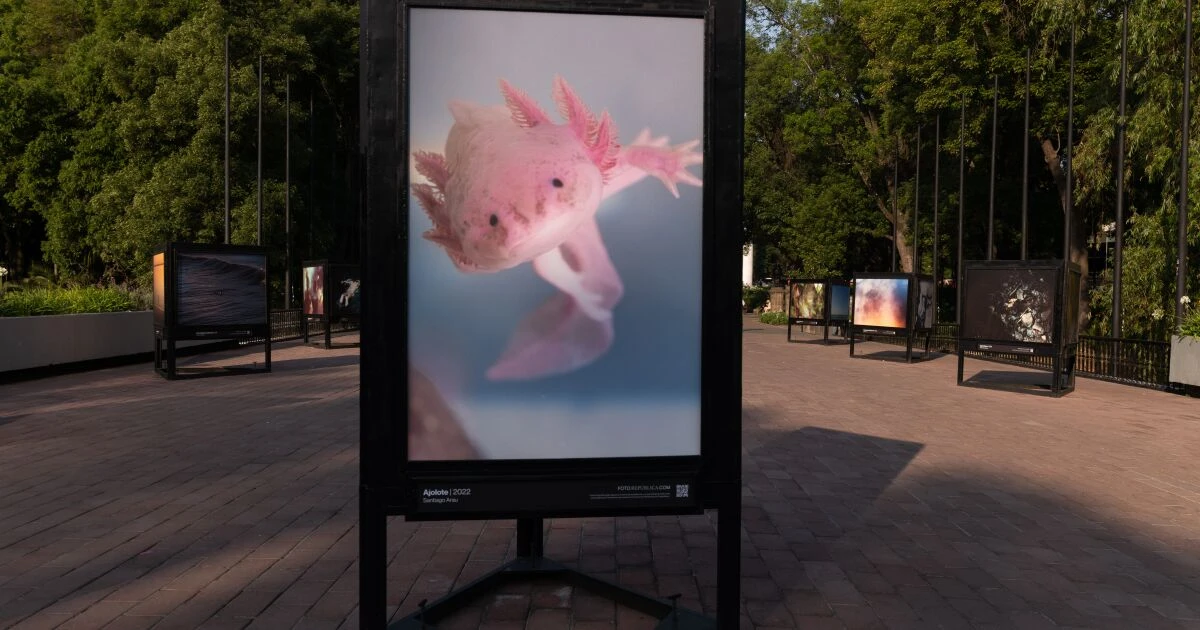 Todo sobre 'El recuerdo del agua', la expo fotográfica imperdible en el Bosque de Chapultepec