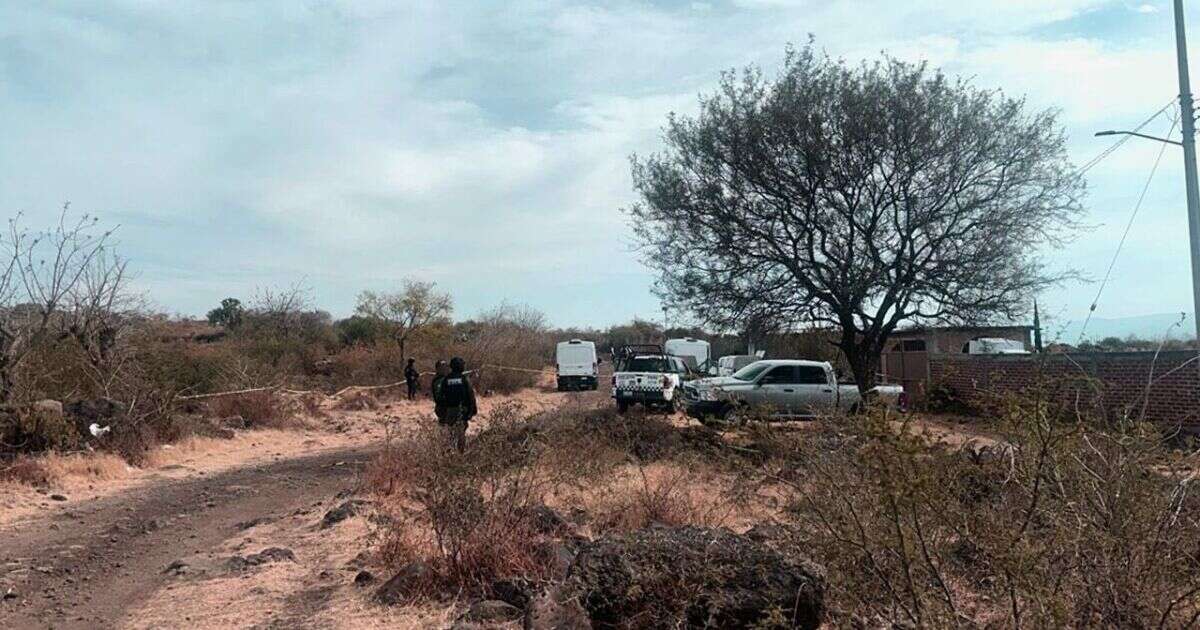 Policía de Guanajuato 