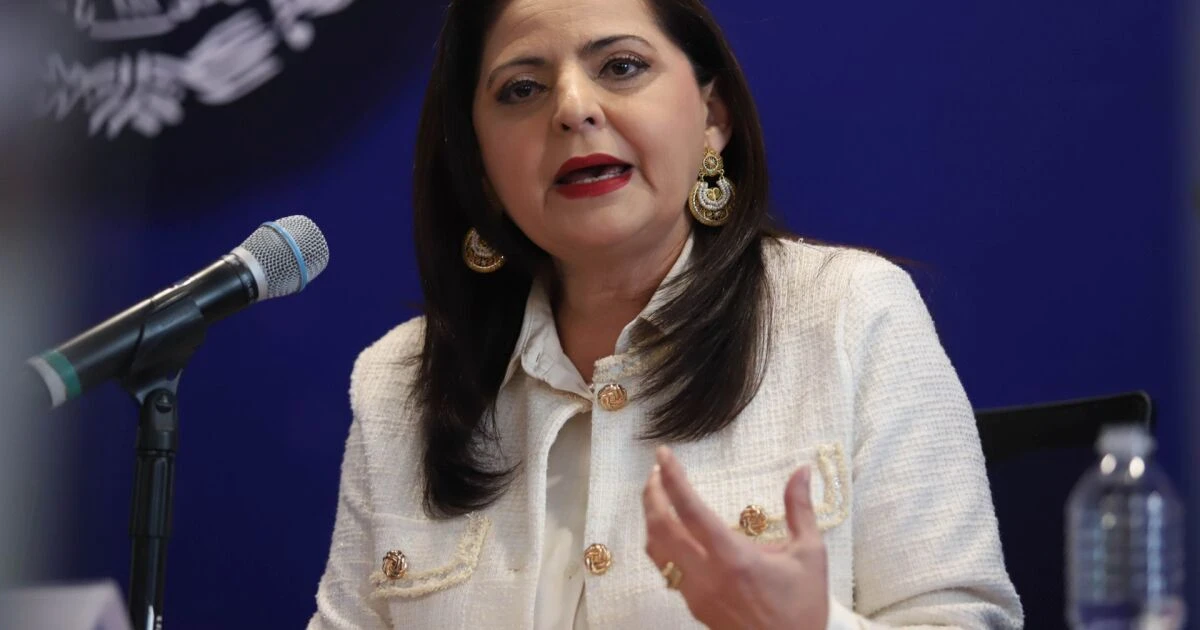 Mónica Soto: “No es democrático el llamado a no votar”