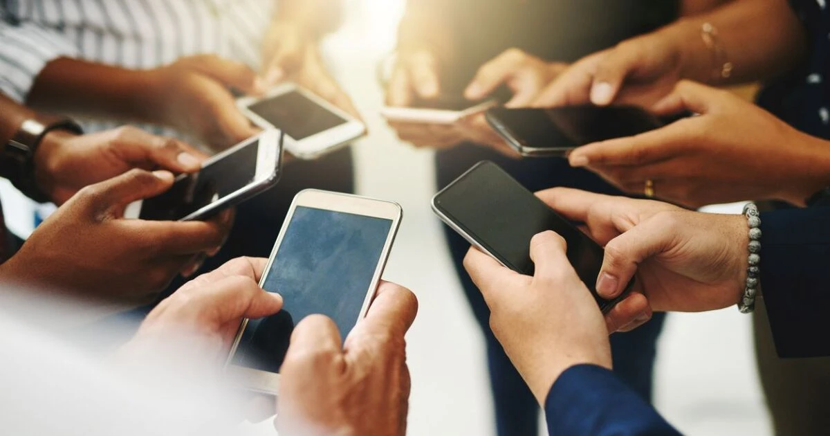 La información sobre las elecciones judiciales en redes y las burbujas digitales