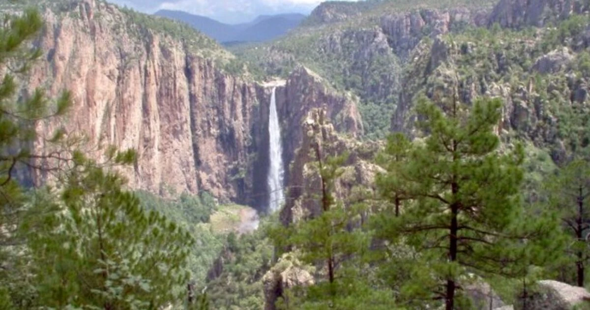 México 'peleará' contra la crisis climática con el presupuesto más bajo en 20 años