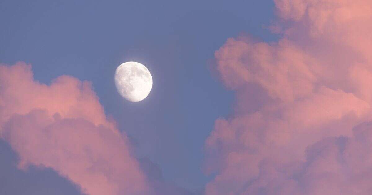 La luna llena de abril se llama Luna Rosa, ¿por qué y a qué hora se verá?