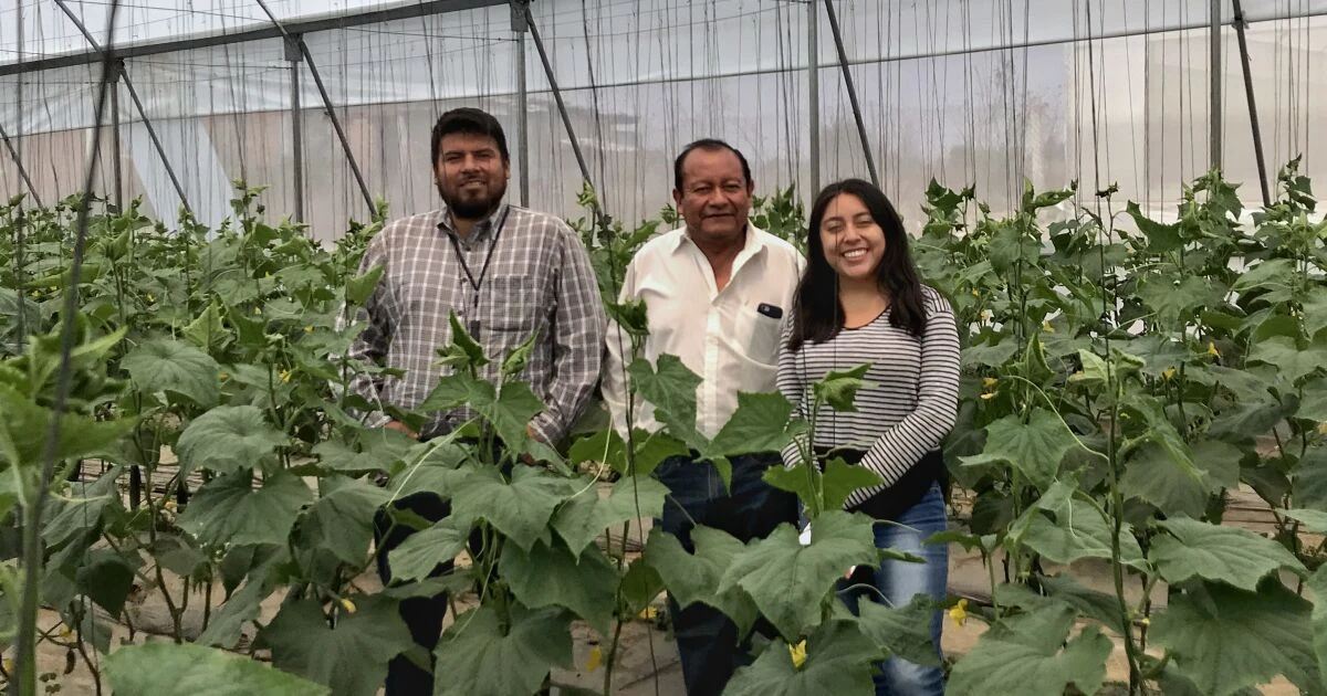 Earth-IoT: La startup mexicana que quiere convertirse en el Uber del campo