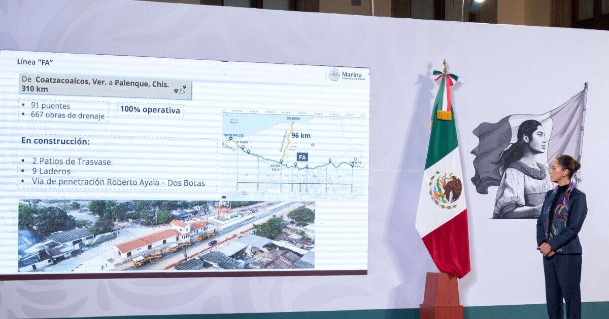 Acapulco, Progreso y Manzanillo: este es el plan de rehabilitación de puertos