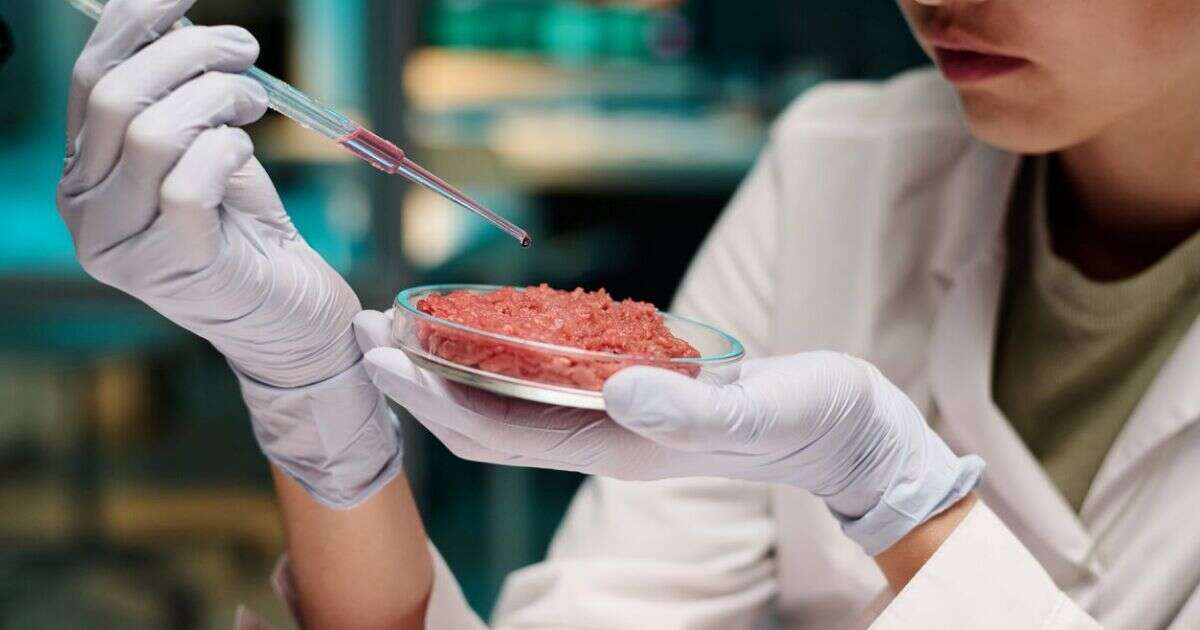 Carne cultivada, un nuevo paradigma