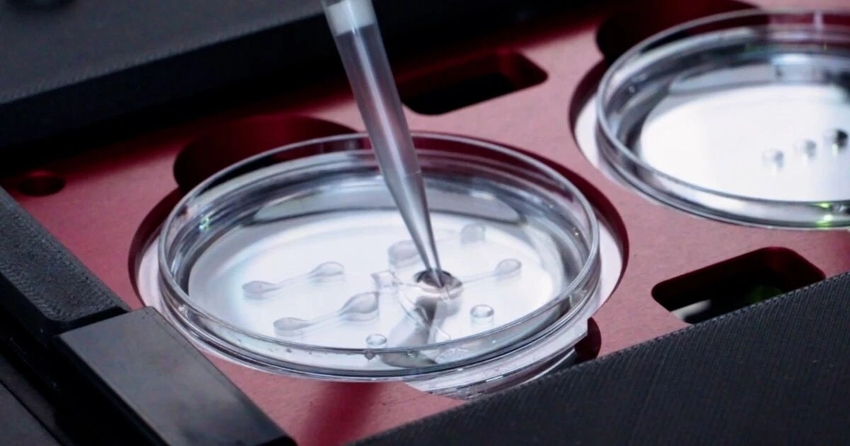 La IA ya elige espermatozoides y hace más efectiva la reproducción asistida