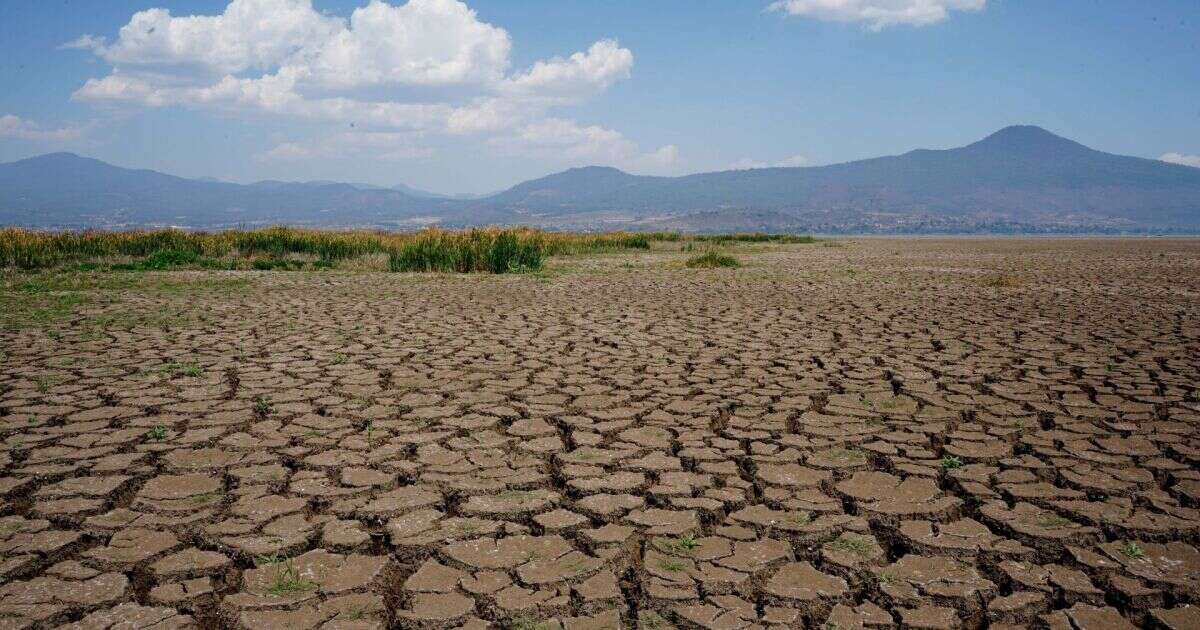 Falta de agua es un problema de seguridad nacional, señalan especialistas