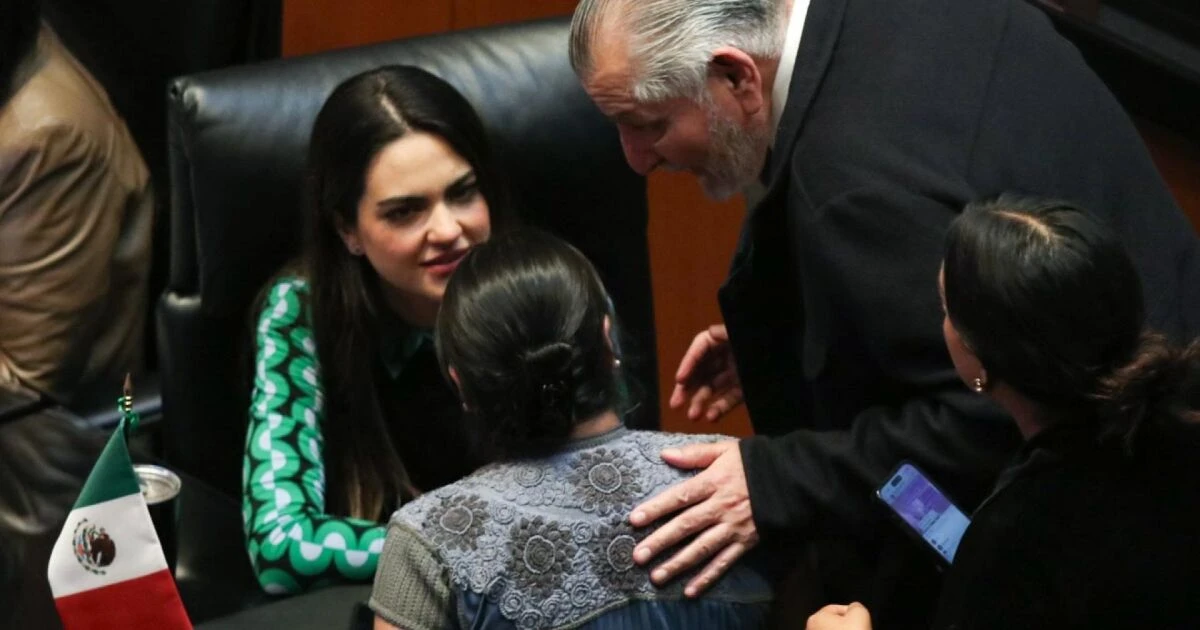 Morena asegura que se prohibirá el turismo legislativo al extranjero