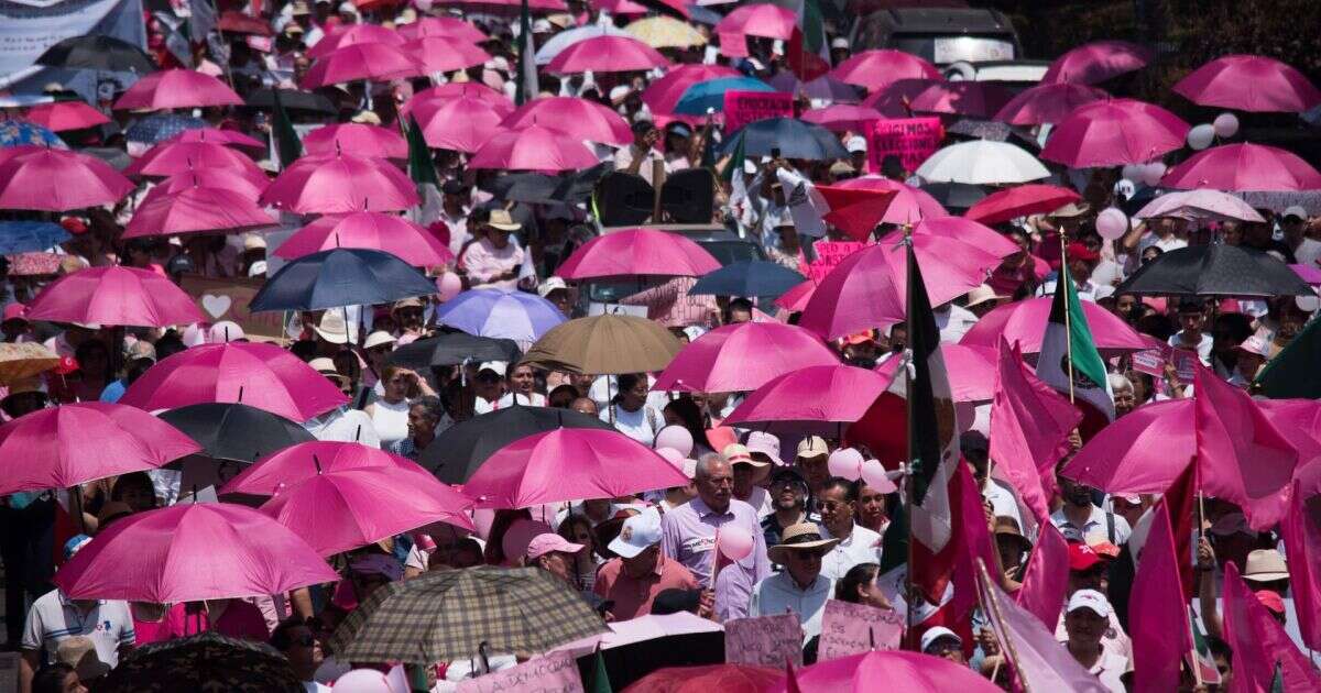 Organizaciones pro Marea Rosa piden al INE 40% de Diputados para la oposición