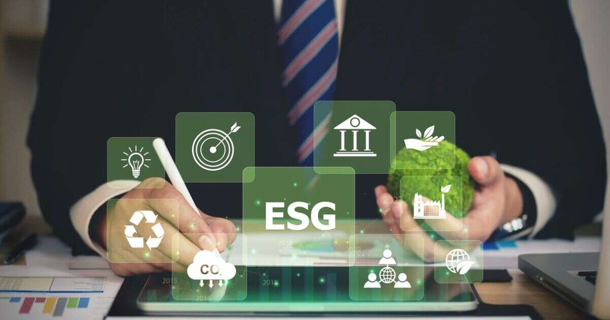 ESG, sostenibilidad y desempeño financiero del negocio