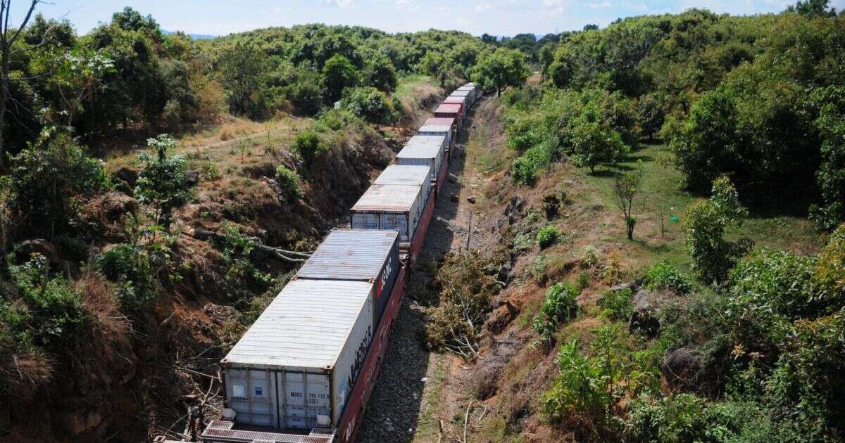 Pasan filtros reformas constitucionales de AMLO en materia ferroviaria