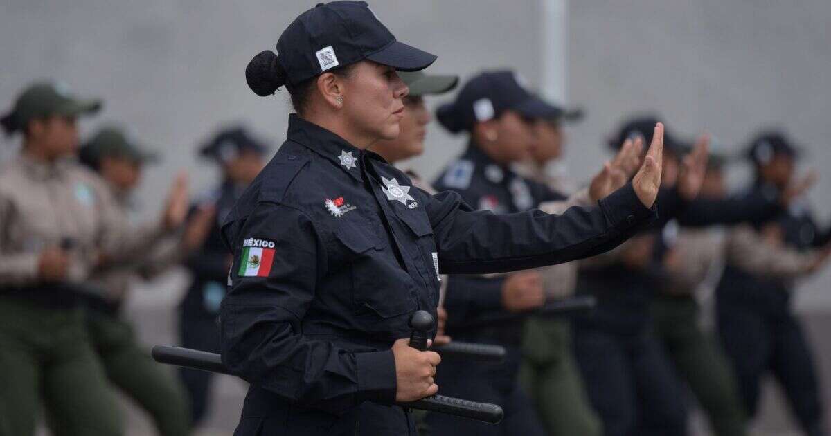 ¿Cuántos tipos de policías hay en México y cuáles son sus funciones?