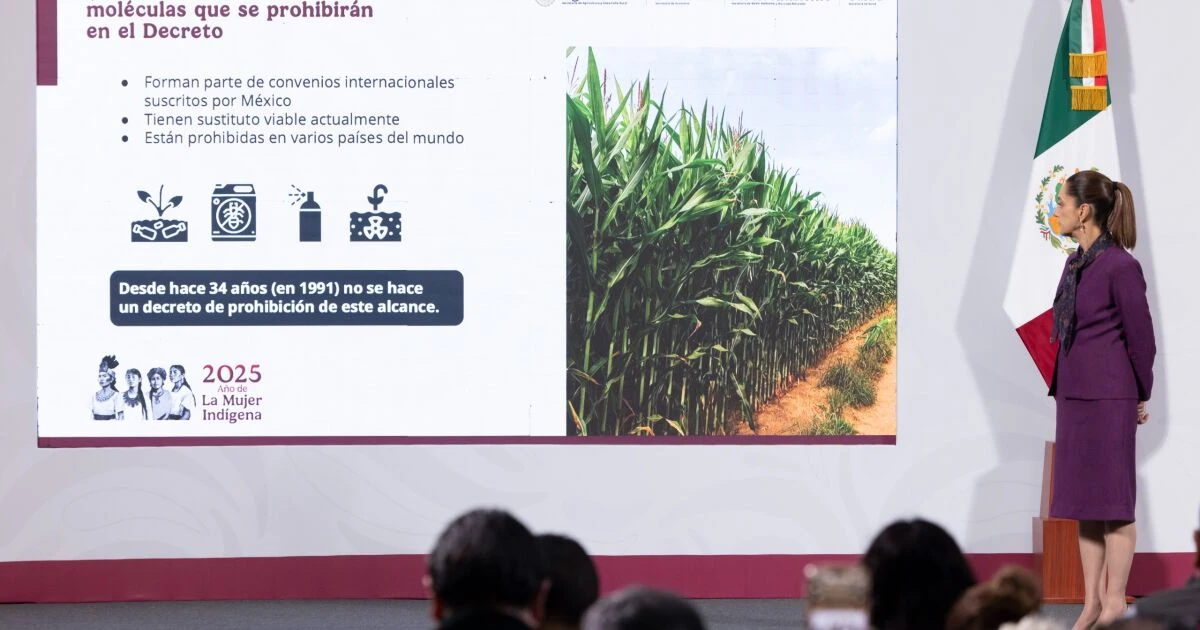 Gobierno lanza Café del Bienestar; será soluble y costará entre 35 y 110 pesos