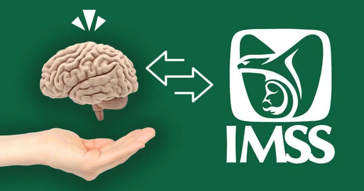 ¿Cómo solicitar orientación por salud mental en el IMSS?