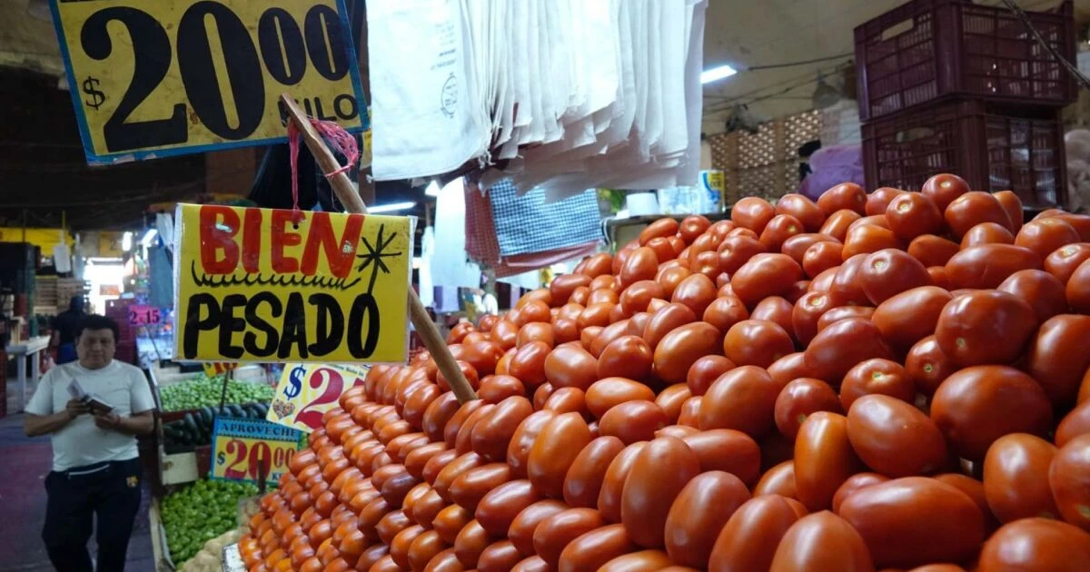 Mercados piden freno a centros de abasto popular promovidos por políticos