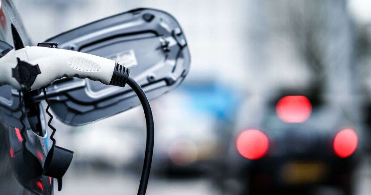 Electrificación automotriz, el camino verde hacia la competitividad empresarial