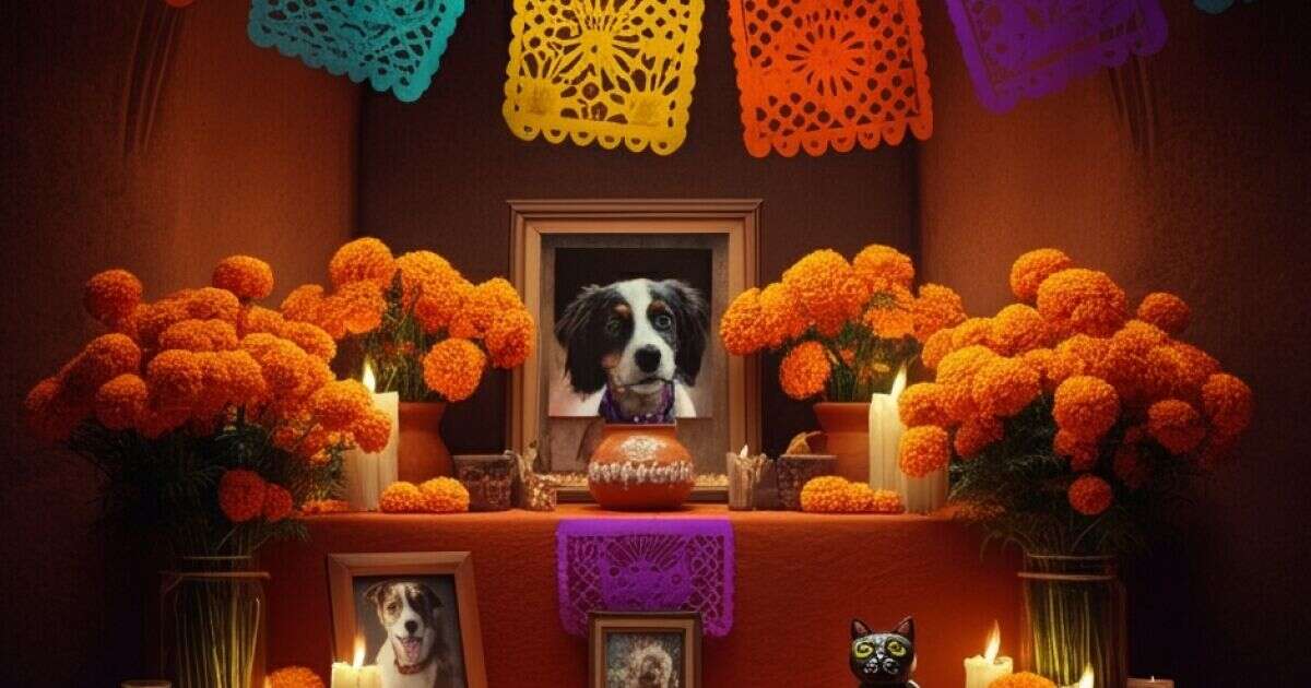 ¿Qué no debe faltar en la ofrenda de tu mascota?