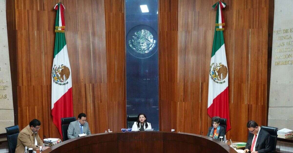 Tribunal Electoral ordena al Comité Judicial retomar procesos rumbo a elección