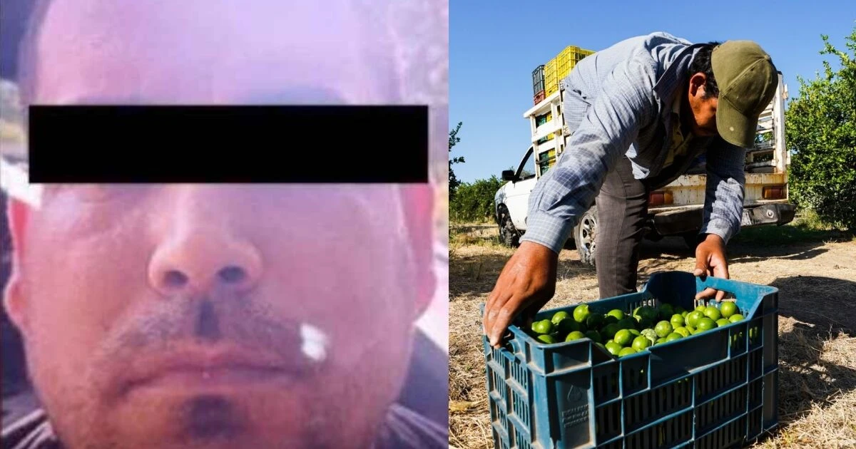 Detienen a ''El Pantano'' por homicidio de líder limonero en Michoacán