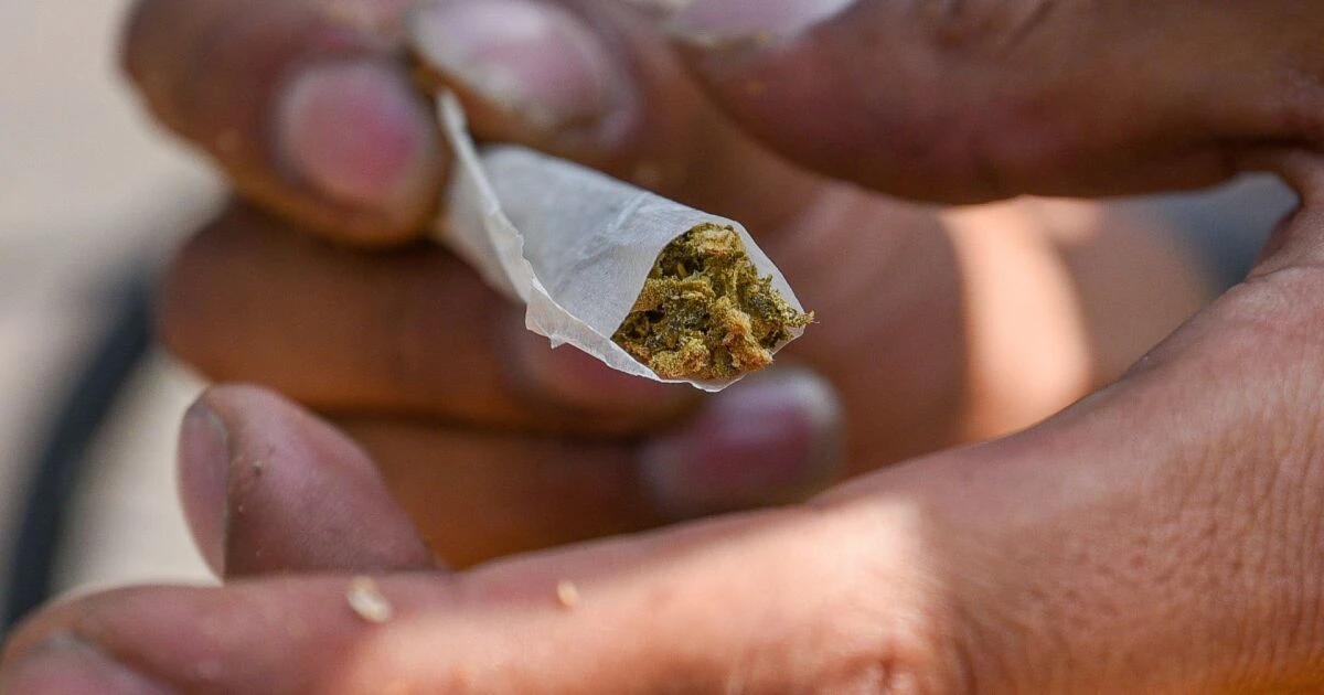 CDMX cambia zonas de tolerancia para consumo de marihuana